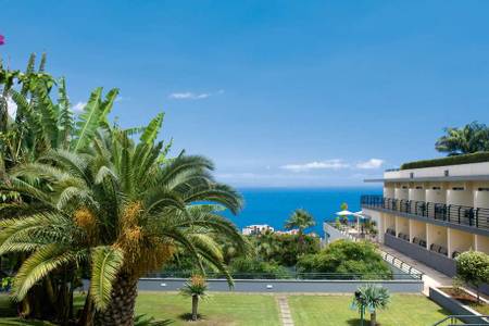 Madeira Panorâmico Hotel, Meerblick mit Palme