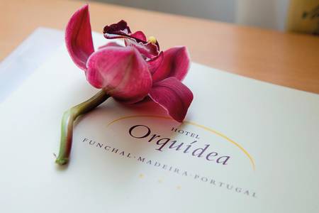 Hotel Orquídea, sonstige