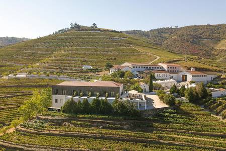 The Vine House – Quinta de São Luz, Resort/Hotelanlage