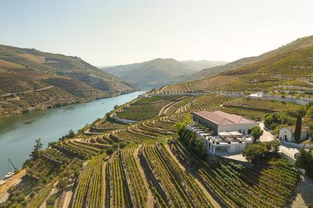 The Vine House – Quinta de São Luz, Resort/Hotelanlage