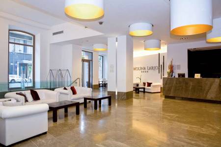 Gallery Hotel Molina Lario, Lobby