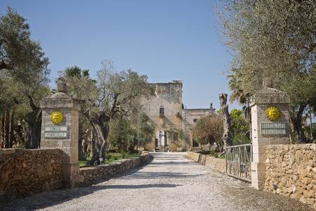 Tenuta Monacelli & Masseria Giampaolo, sonstige