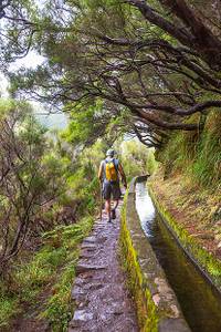 Wanderer auf einem Levada Wanderweg Madeira