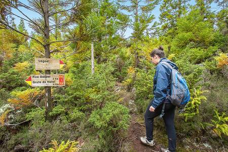 Wandern auf Terceira