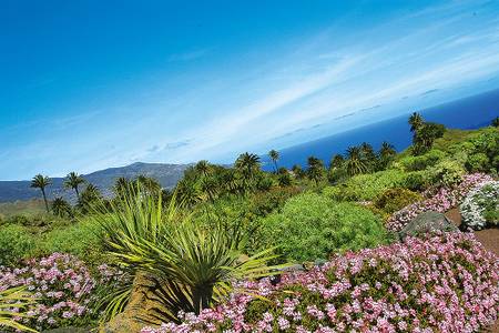 Palmengarten auf La Palma