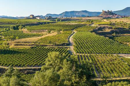 La Rioja