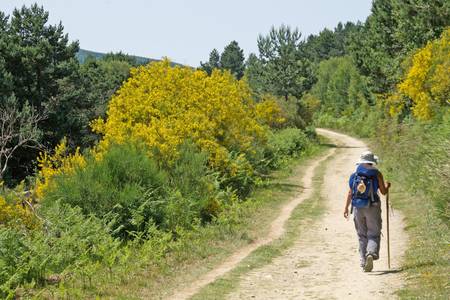 Caminho de Santiago