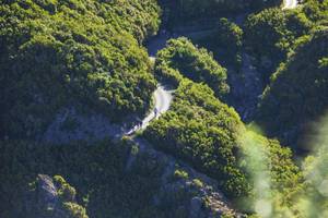 Wandern Madeira Luftaufnahme Bäume