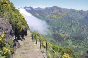 schmaler Wanderweg in wolkenverhangenen Bergen Madeira
