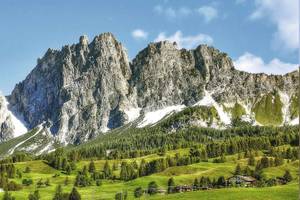 Landschaft mit saftiggrünen Wiesen und schroffen Dolomiten Südtirol