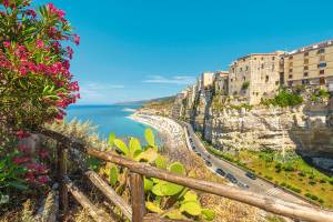 Küste von Tropea von oben mit Blumen und Kakteen im Vordergrund und weitem Blick auf die Küste