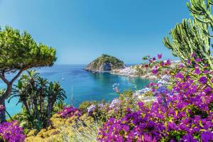 Kakteen, lila blühende Pflanzen und Bäume mit dem türkisblauem Meer im Hintergrund