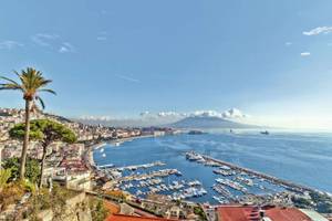 Küste von Neapel von oben mit Hafen und Palmen und Berg im Hintergrund