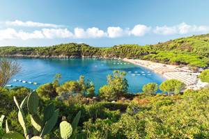 Fetovaia Bay Elba Italien Meer Bucht