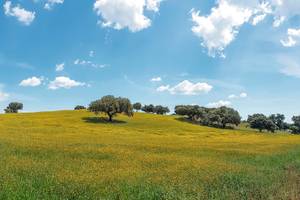 Alentejo, Portugal