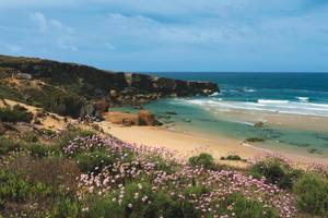 Küste Strand Vila Nova de Milfontes Alentejo