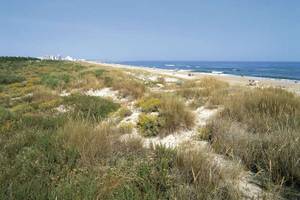 Praia Verde an der Algarve mit Dünen und dem Meer im Hintergrund