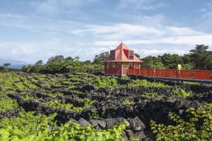 Museo do Vinho auf Pico Weinreben rotes Gebäude roter Zaun