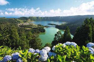 Sete Cidades São Miguel Azoren Hortensien Natur Kraterseen