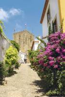 Schmale historische Gasse in Óbidos