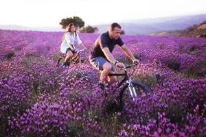 Mountainbiker in Mittelportugal