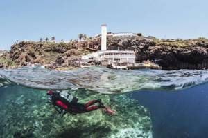 Taucher im Wasser, Madeira 