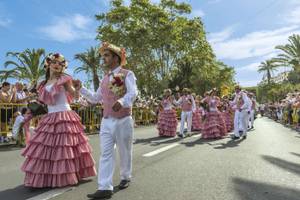 Flower Parade, Funchal