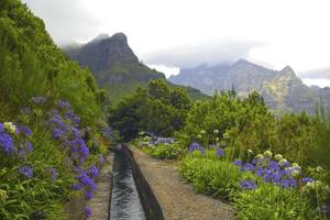 Ribeira da Janela, Madeira 
