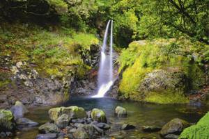 Wasserfall umgeben von bemosten Felsen Levada D oRibeiro FrioMadeira