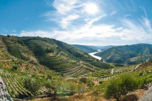 Douro Weinterrassen Fluss Panorama Nordportugal