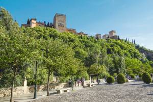 Platz mit vielen Bäumen und Sträuchern im Hintergrund in Granada Andalusien