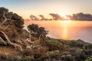 Sonnenuntergang am Meer mit Baum in El Hierro