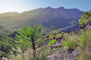 Gran Canaria, Kanaren, Spanien