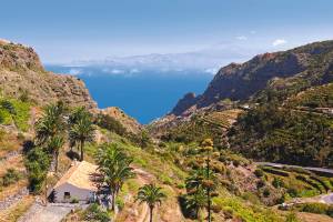 Landschaft La Gomera mit Bergen und Sträuchern und Palmen